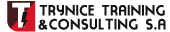 FlameOnePage Dark Logo